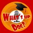 What's Up Doc? @ RadioReboot profile image