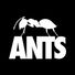 UNITED ANTS profile image