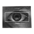 Kuleshov profile image