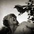 Melmoth_The_Wanderer profile image