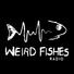Weird Fishes Radio profile image