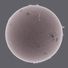 TheHelix profile image