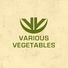 Various Vegetables profile image