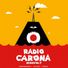 radiocaronaskonvolt profile image