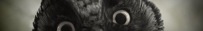 profile cover image