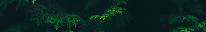 profile cover image