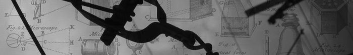 profile cover image