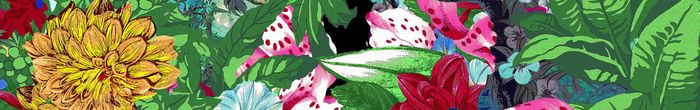 profile cover image