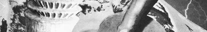 profile cover image