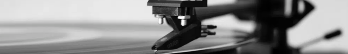profile cover image