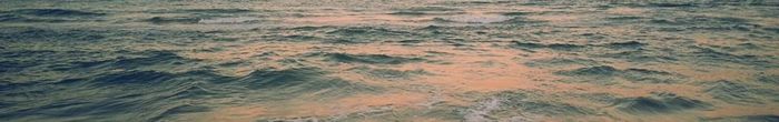 profile cover image
