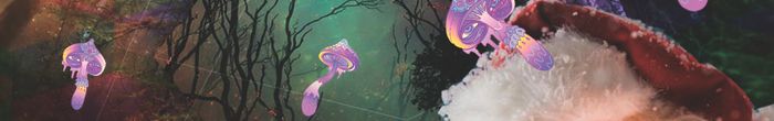 profile cover image