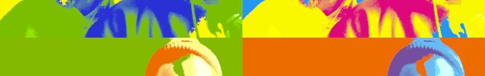 profile cover image