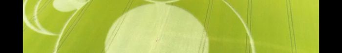 profile cover image