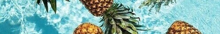 profile cover image