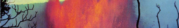 profile cover image