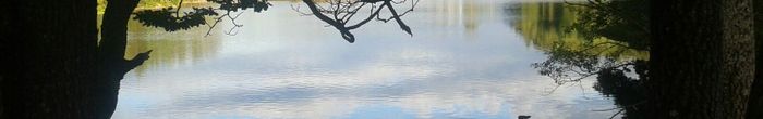 profile cover image