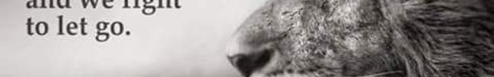 profile cover image