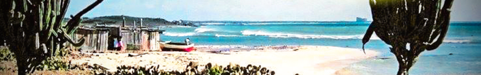 profile cover image