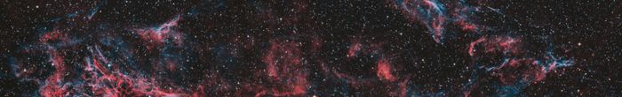 profile cover image