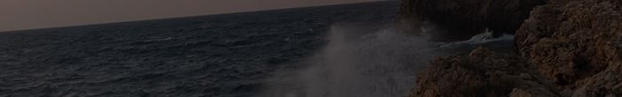 profile cover image