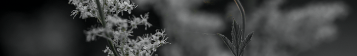 profile cover image
