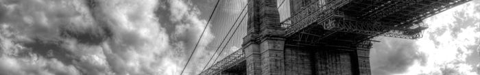 profile cover image