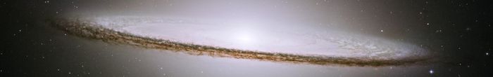 profile cover image
