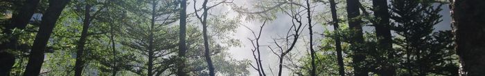profile cover image