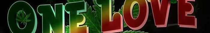 profile cover image