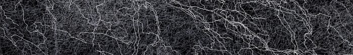 profile cover image