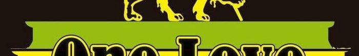 profile cover image