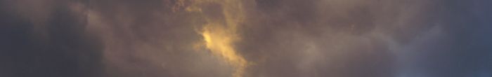 profile cover image