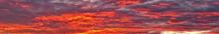 profile cover image