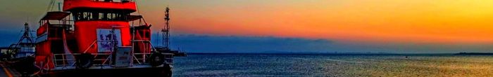 profile cover image