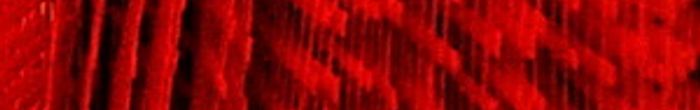 profile cover image