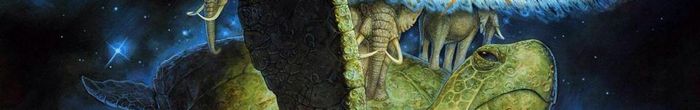 profile cover image