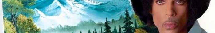 profile cover image
