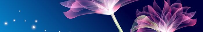 profile cover image