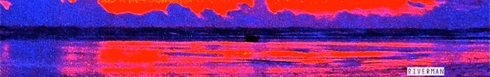 profile cover image
