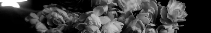 profile cover image