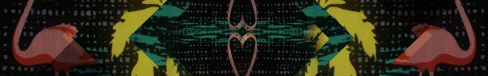 profile cover image