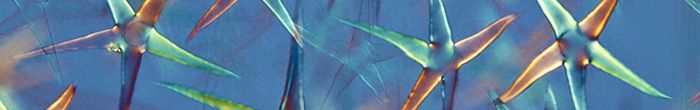 profile cover image