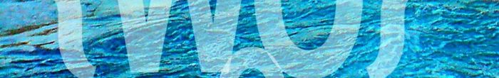profile cover image