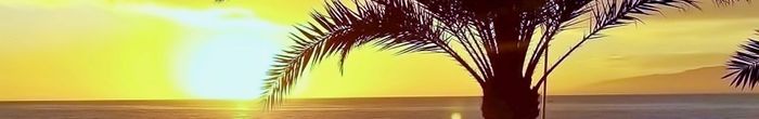 profile cover image