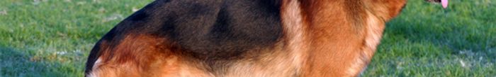 profile cover image