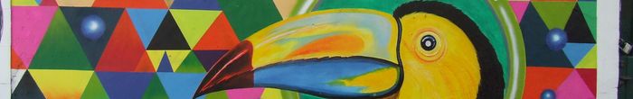 profile cover image