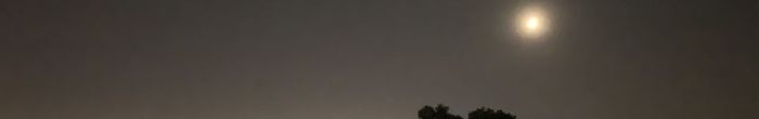 profile cover image