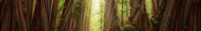 profile cover image