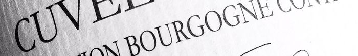 profile cover image